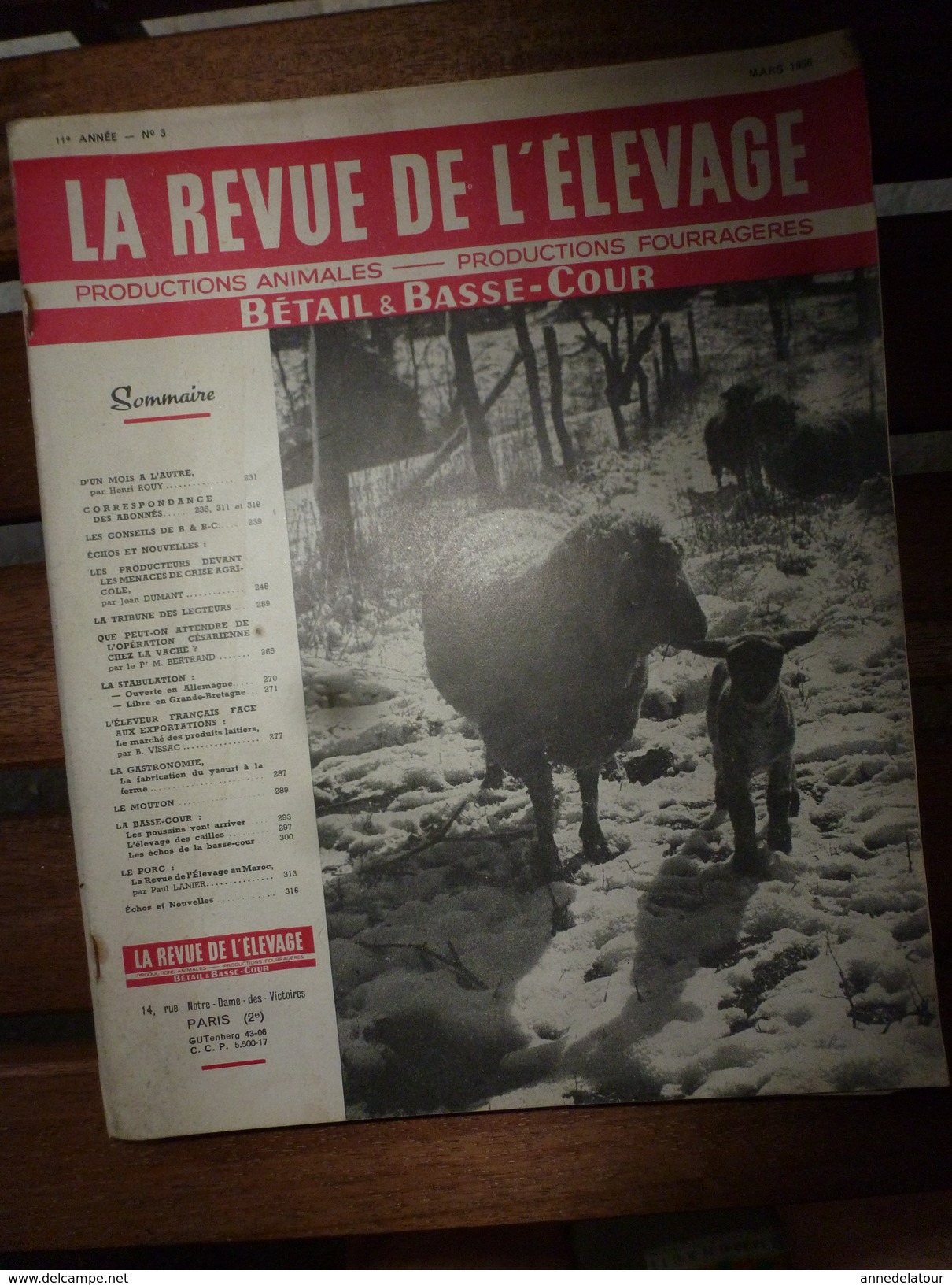 1956 LRDLE Elevage Au MAROC; En Allemagne; Angleterre;Le Lait  ;Faire Du YAOURT à La Ferme;Les CAILLES; Etc - Animaux