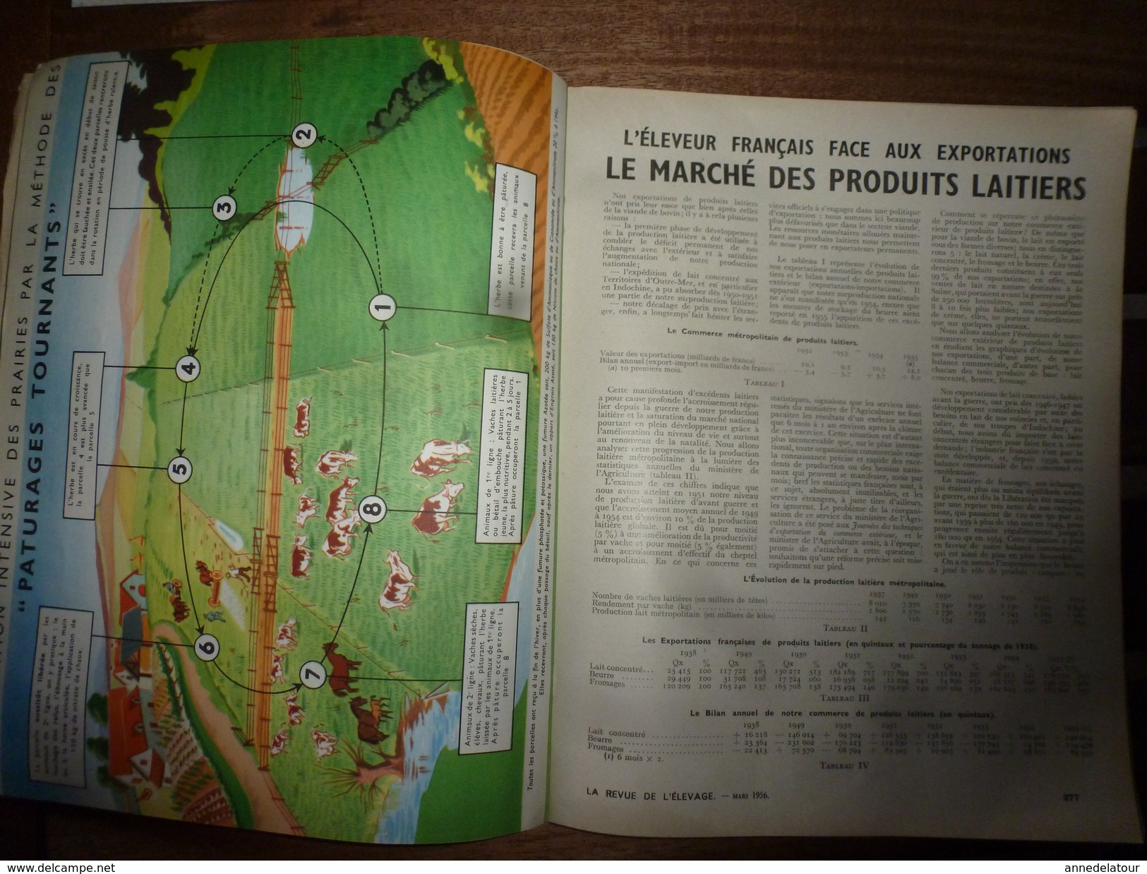 1956 LRDLE Elevage Au MAROC; En Allemagne; Angleterre;Le Lait  ;Faire Du YAOURT à La Ferme;Les CAILLES; Etc - Animals