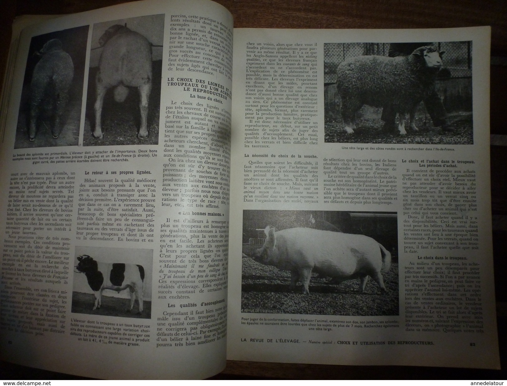 1955 LRDLE :La Revue De L'Elevage  N° SPECIAL  -----> CHOIX ET UTILISATION DES REPRODUCTEURS - Animales
