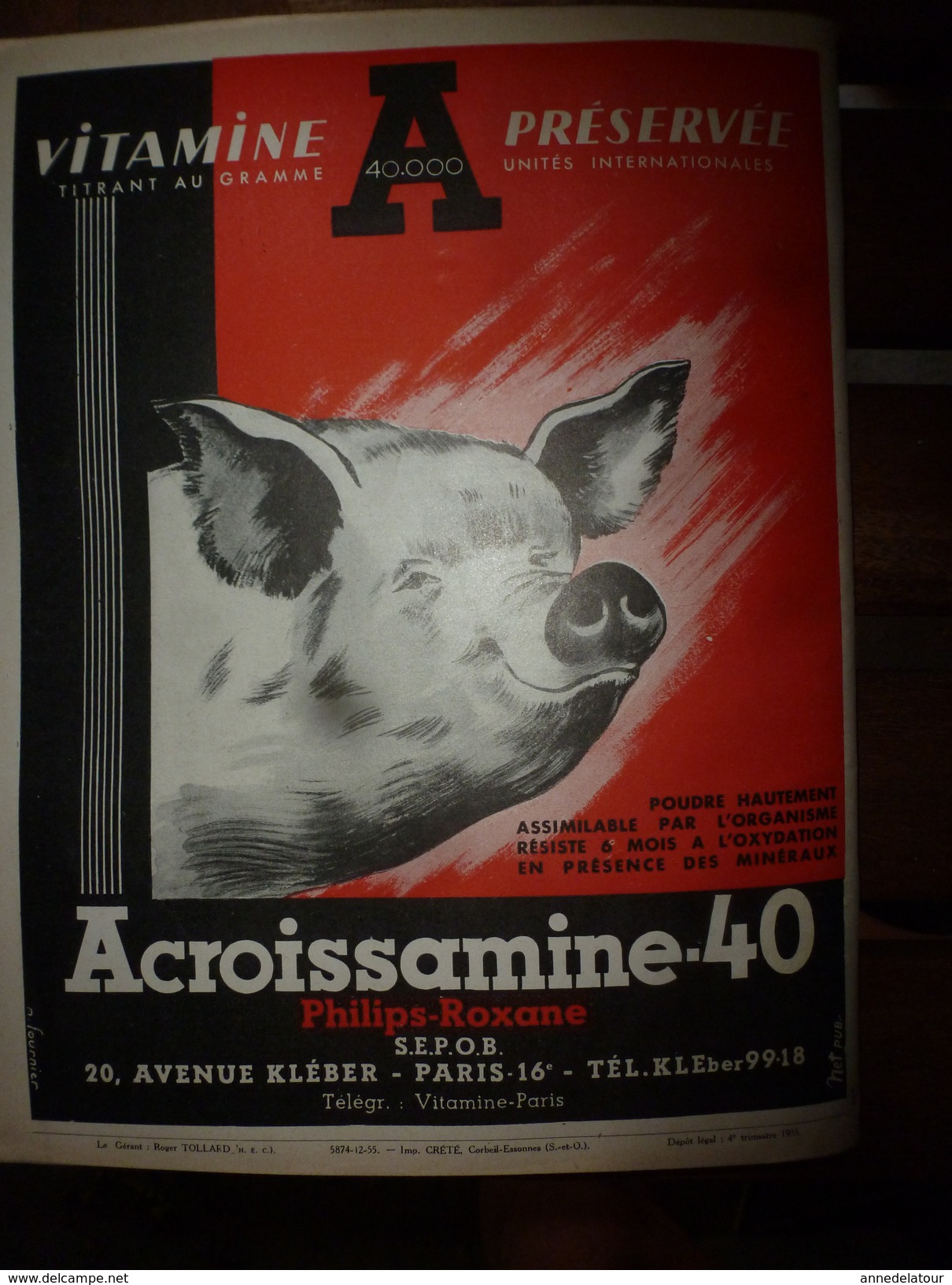 1955 LRDLE :La Revue de L'Elevage  N° SPECIAL  -----> CHOIX ET UTILISATION DES REPRODUCTEURS