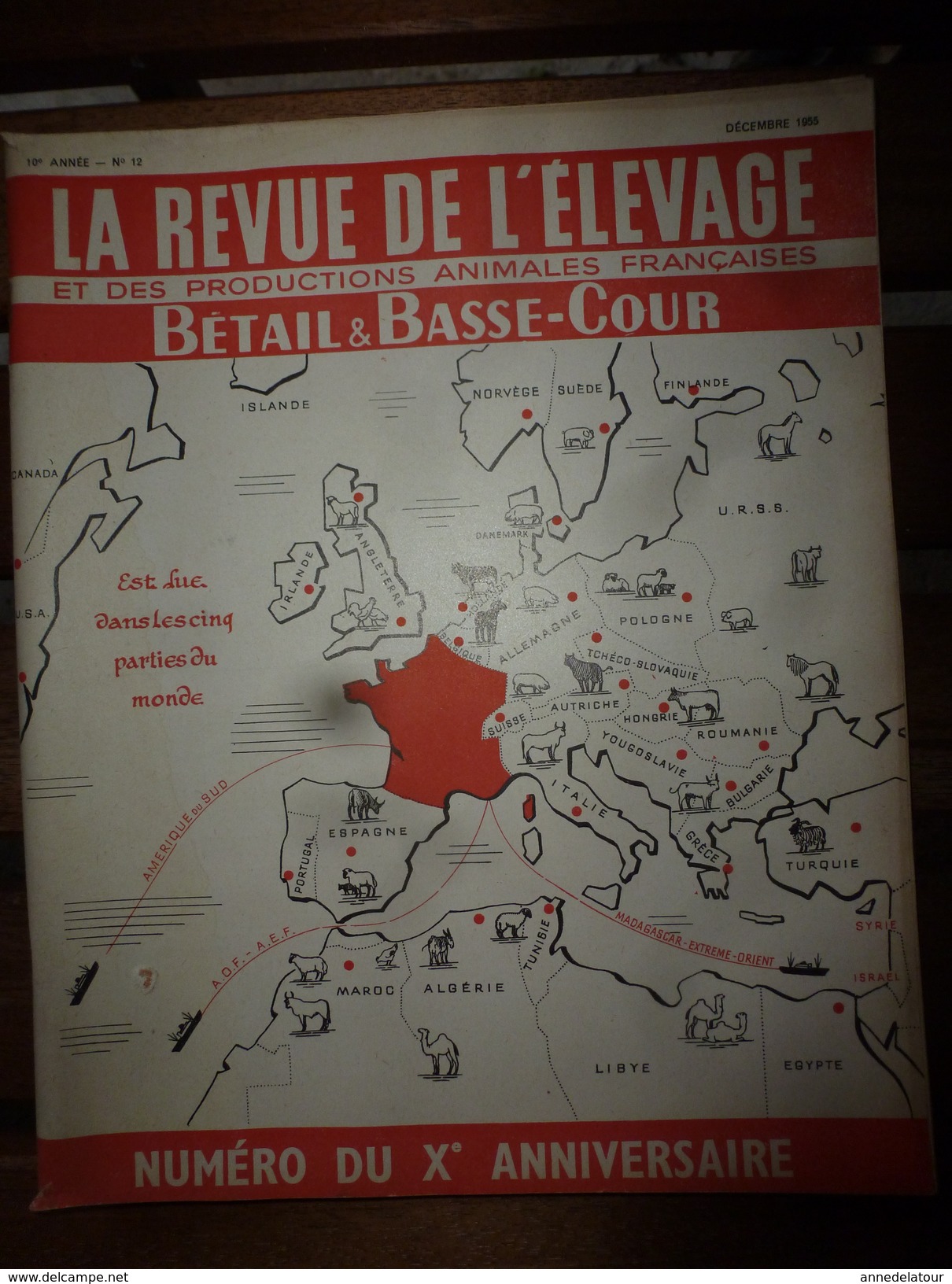 1955 LRDLE :La Revue De L'Elevage  N° SPECIAL  ----->Chevaux;Aviculture;Porcins;Moutons;Viande Et Lait;etc - Animals