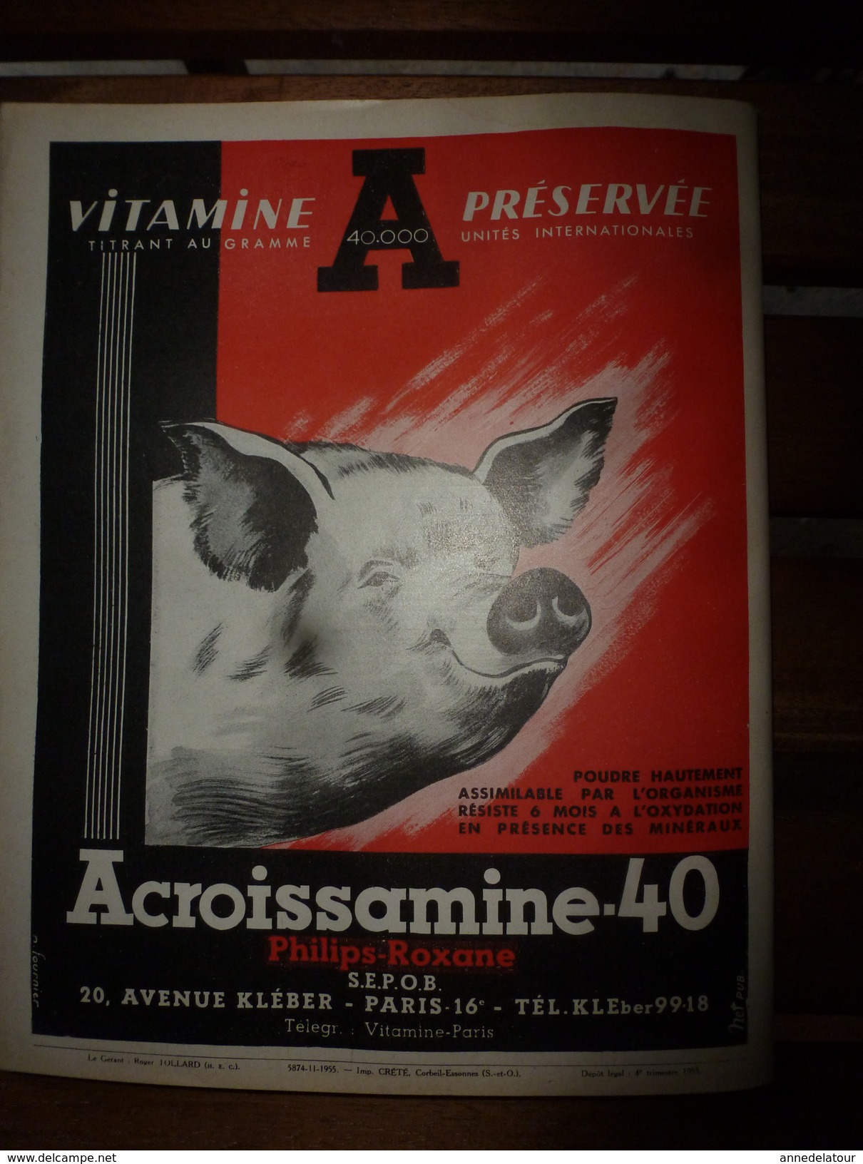 1955 LRDLE :La Revue De L'Elevage  N° SPECIAL  ----->Chevaux;Aviculture;Porcins;Moutons;Viande Et Lait;etc - Animals