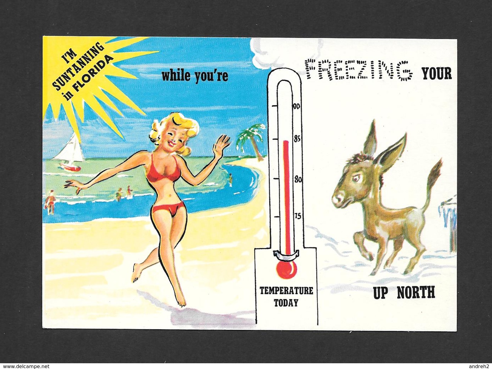 PIN-UPS - I'M SUNTANNING IN FLORIDA WHILE YOU'RE FREEZING YOUR ... UP NORTH - BY INTERNATIONAL - Pin-Ups