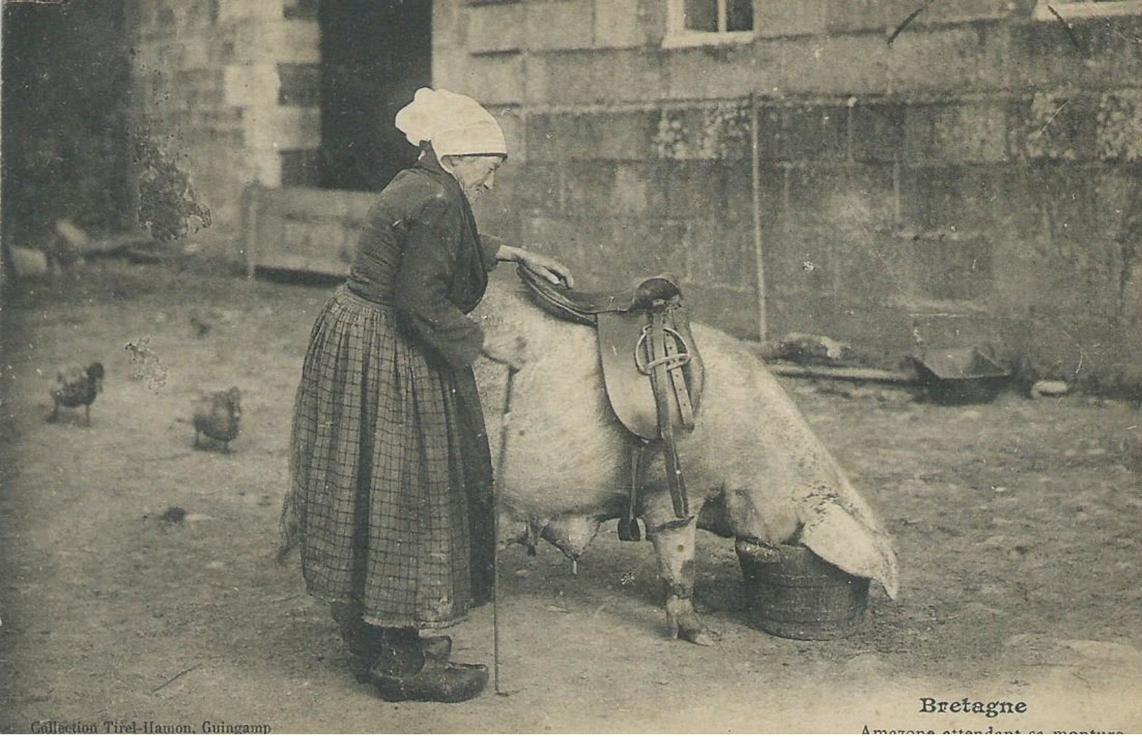 22, Cotes D'Armor, GUIMGAMP, Amazone Attendant Sa Monture, Animations, Scan Recto-Verso - Guingamp