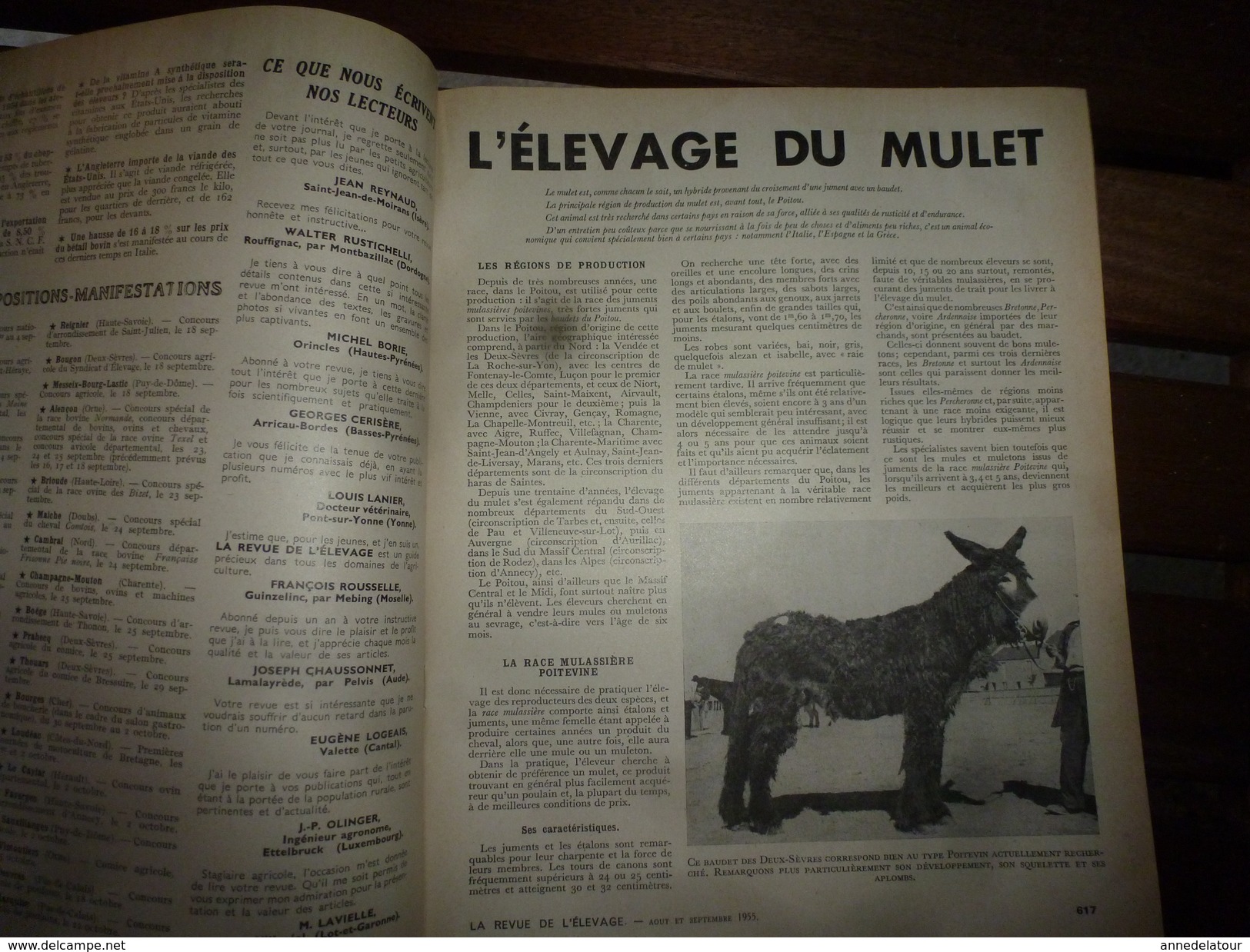 1955 LRDLE :Le Mulet; Au Maroc; Concours Spéciaux De Races; Le Mouton; A Brive ; La Basse-cour; Etc - Animaux