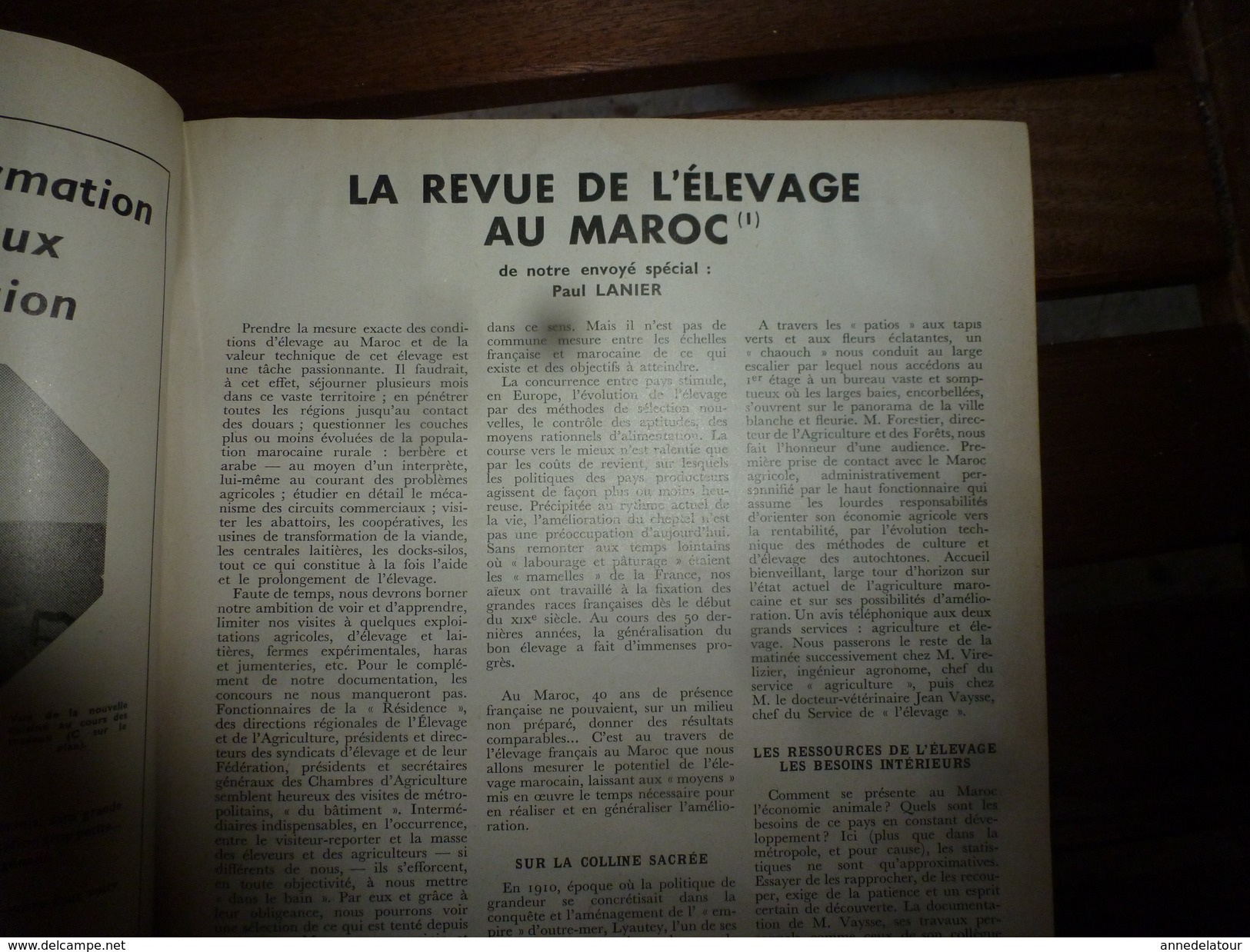 1955 LRDLE :Le mulet; Au Maroc; Concours spéciaux de races; Le mouton; A Brive ; La basse-cour; etc