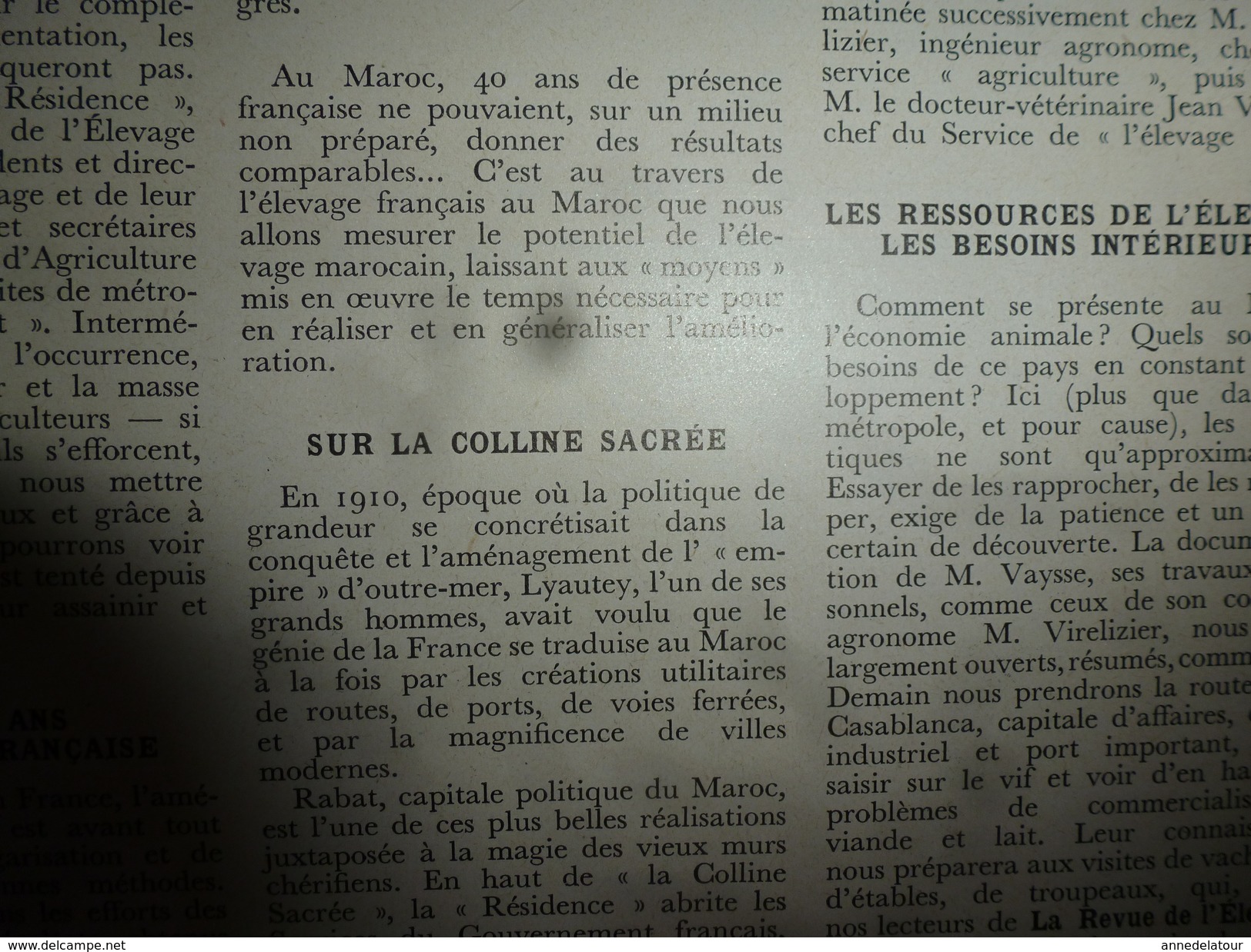 1955 LRDLE :Le mulet; Au Maroc; Concours spéciaux de races; Le mouton; A Brive ; La basse-cour; etc