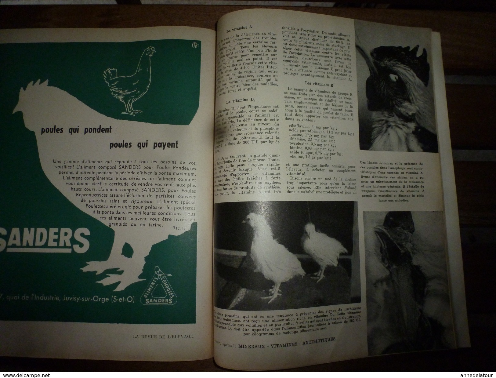 1957 LRDLE (La Revue De L'Elevage): N° SPECIAL ELEVAGE Avec Les MINERAUX, VITAMINES Et ANTIBIOTIQUES - Animaux