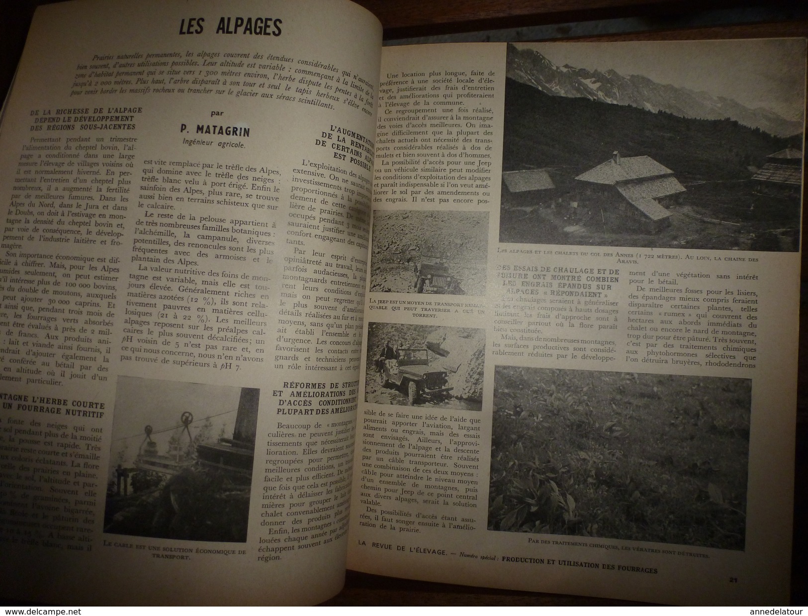 1954 LRDLE  N° SPECIAL PRODUCTION Et UTILISATION DES FOURRAGES; Alpages Aux CHALETS Du Col Des Annes à 1722 M - Animals