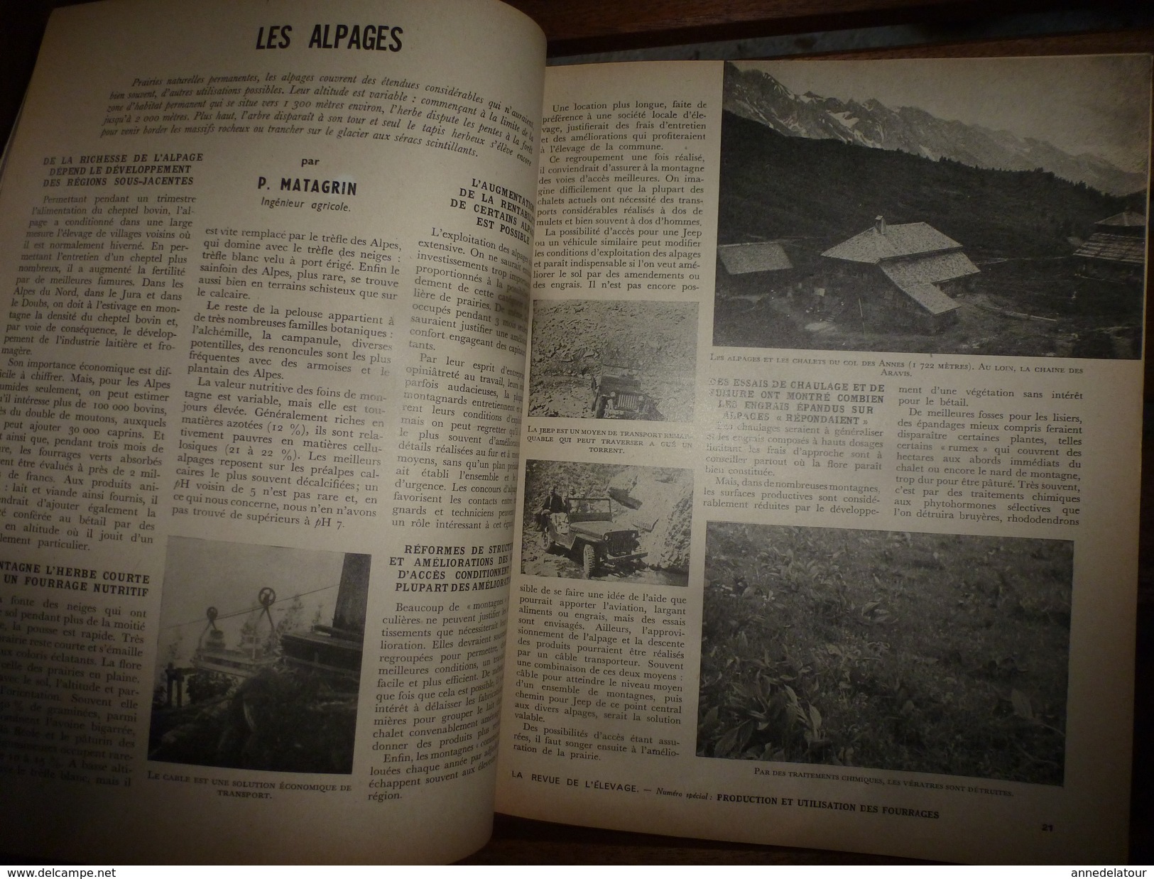 1954 LRDLE  N° SPECIAL PRODUCTION Et UTILISATION DES FOURRAGES; Alpages Aux CHALETS Du Col Des Annes à 1722 M - Animales