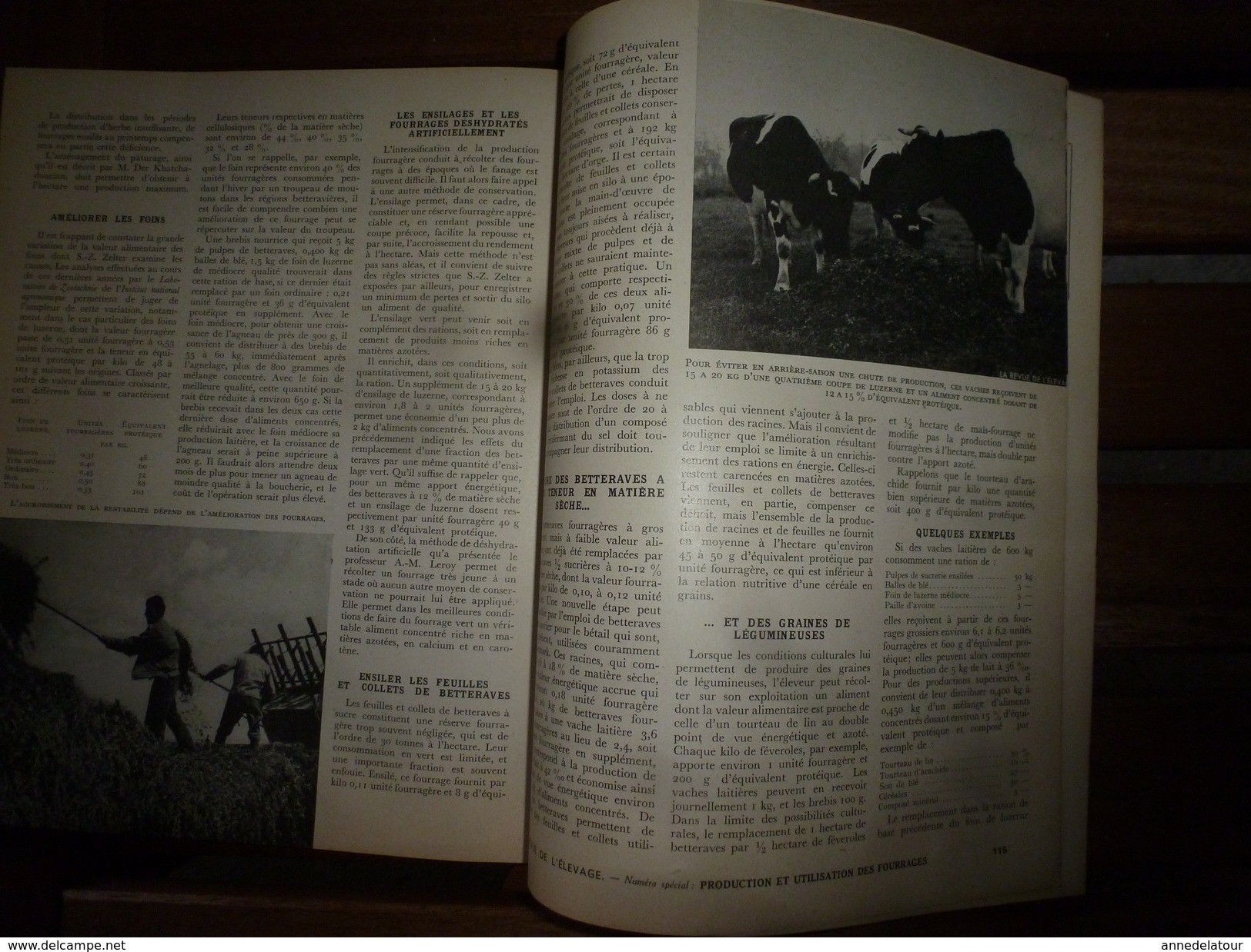 1954 LRDLE  N° SPECIAL PRODUCTION Et UTILISATION DES FOURRAGES; Alpages Aux CHALETS Du Col Des Annes à 1722 M - Animaux