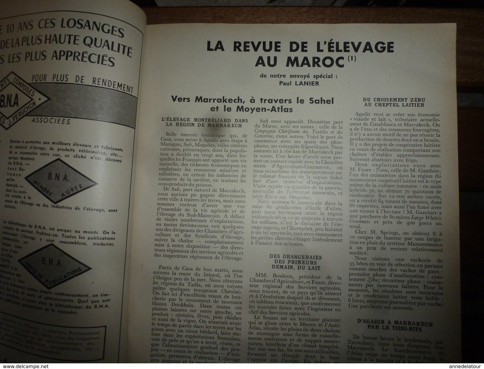 1956 LRDLE La Chasse; Croisement Du Zébu Au Maroc;Concours Des Espèces Chevalines;Aviculture En Belgique;etc - Animaux