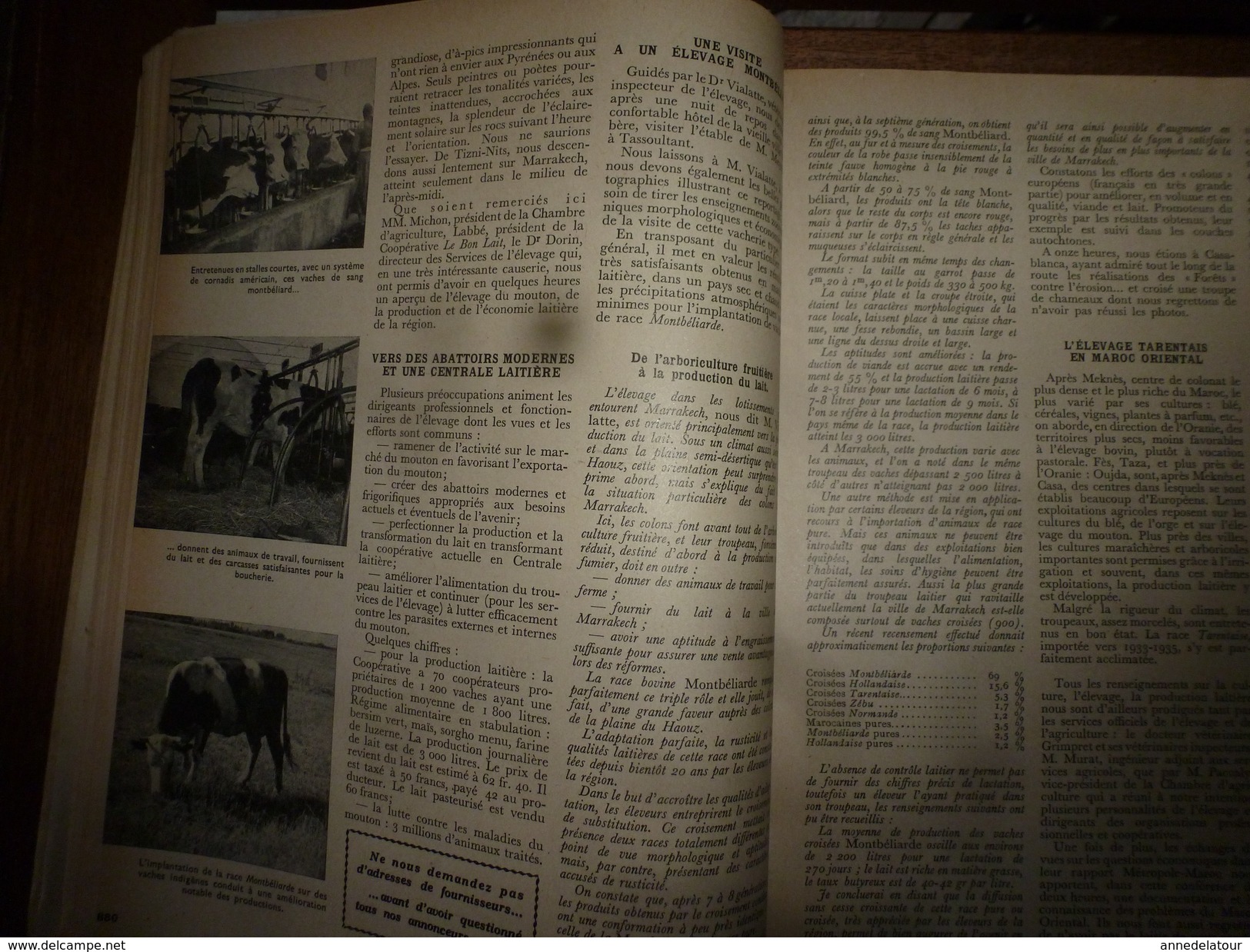 1956 LRDLE La Chasse; Croisement Du Zébu Au Maroc;Concours Des Espèces Chevalines;Aviculture En Belgique;etc - Animales