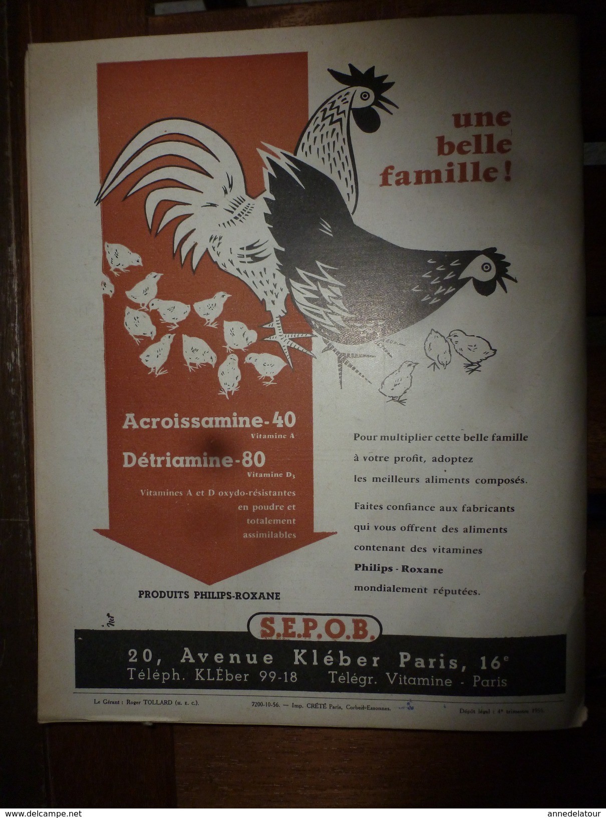 1956 LRDLE La Chasse; Croisement Du Zébu Au Maroc;Concours Des Espèces Chevalines;Aviculture En Belgique;etc - Animales