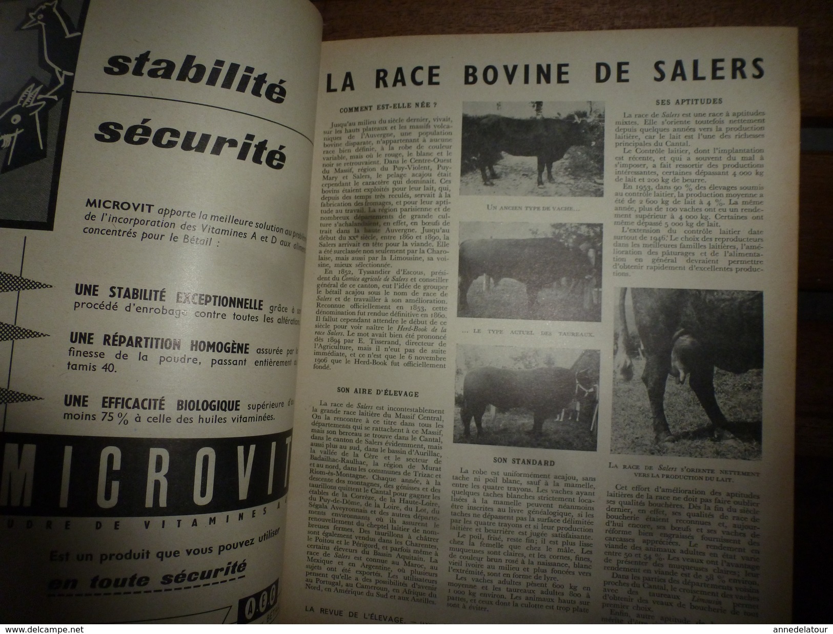 1956 LRDLE  :Au Maroc;Concours ; Les Animaux A Fourrures; Maïs,Fèveroles,Betteraves; Etc - Animals
