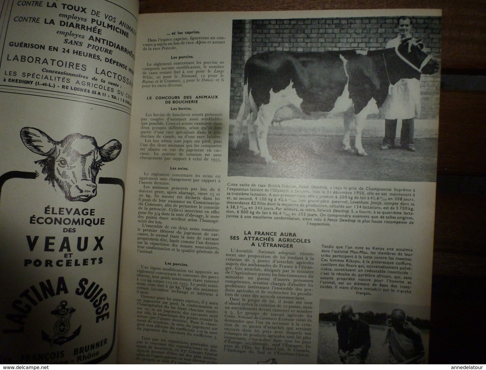 1956 LRDLE  :Au Maroc;Concours ; Les Animaux A Fourrures; Maïs,Fèveroles,Betteraves; Etc - Animales