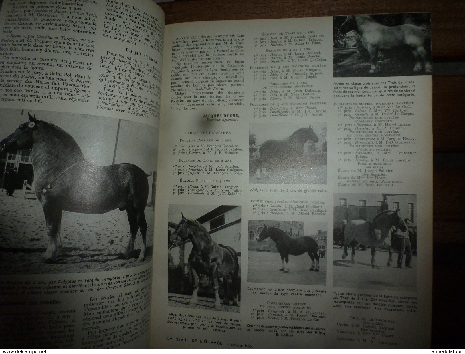 1956 LRDLE  :Au Maroc;Concours ; Les Animaux A Fourrures; Maïs,Fèveroles,Betteraves; Etc - Animales