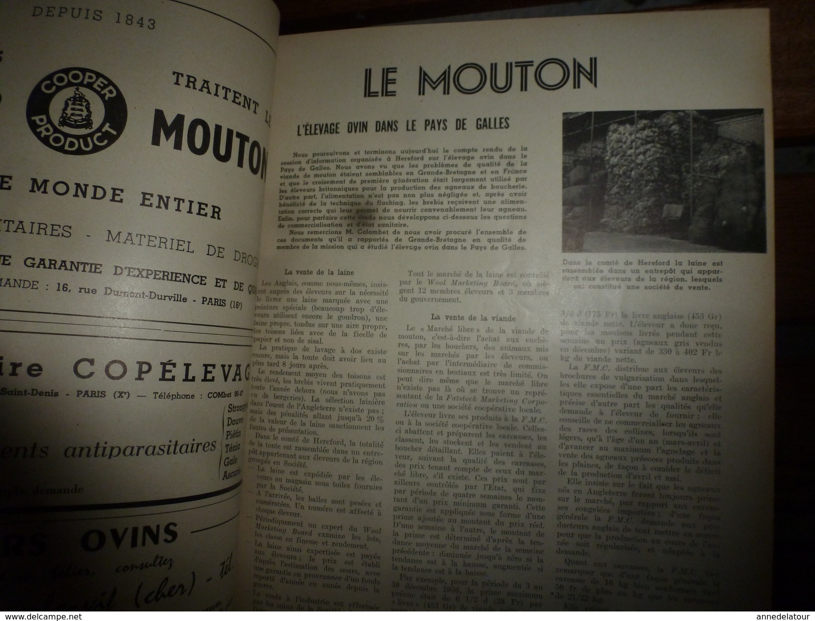 1958 LRDLE  :Production Fourragères Et Alimentation; En Pays De Galles; Etc - Animaux