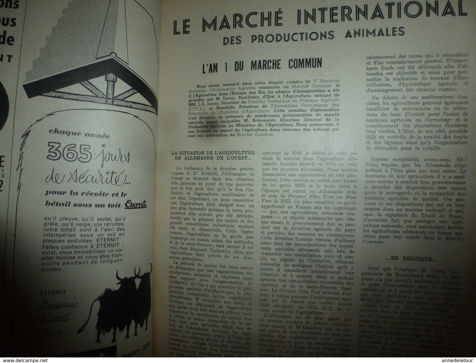 1958 LRDLE  :Production Fourragères Et Alimentation; En Pays De Galles; Etc - Animali