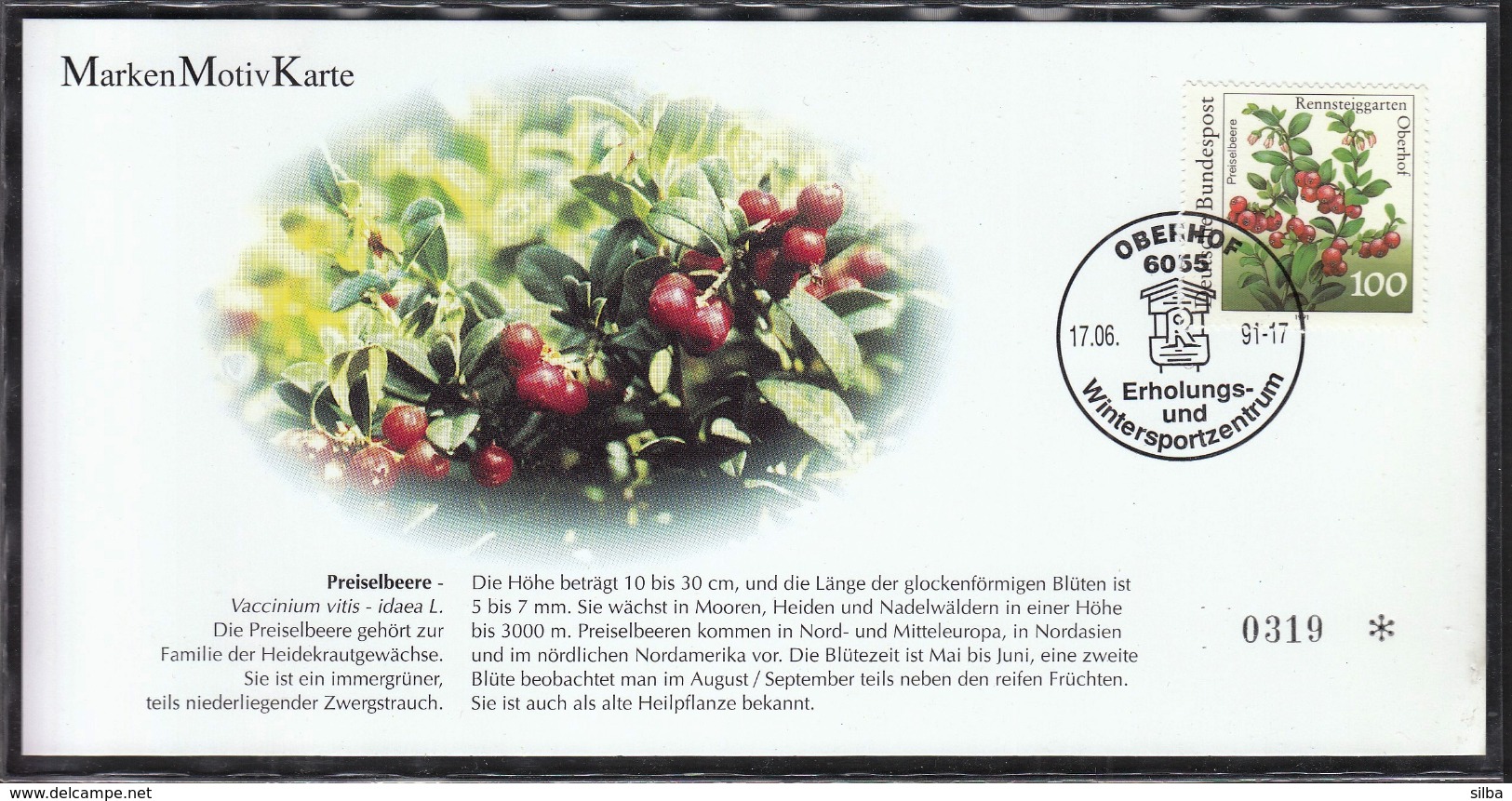 Germany Oberhof 1991 / Cranberry / Fruit / Preiselbeere - Obst & Früchte