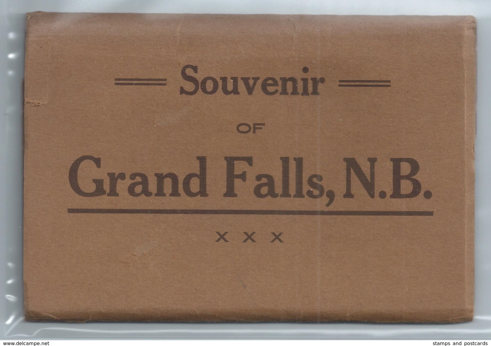 GRAND FALLS, N.B. CANADA. C. 1920 POSTCARD FOLDER - 10 POSTCARDS #553. - Grand Falls