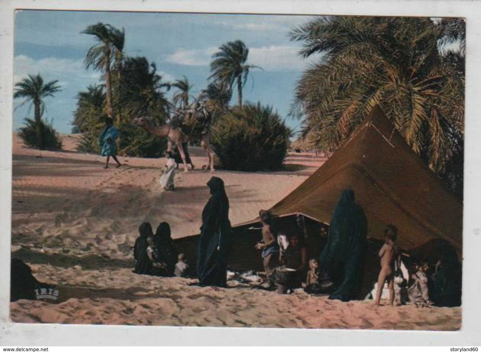 Cpm St002814 République Islamique De Mauritanie La Vie Sous La Tente - Mauritania