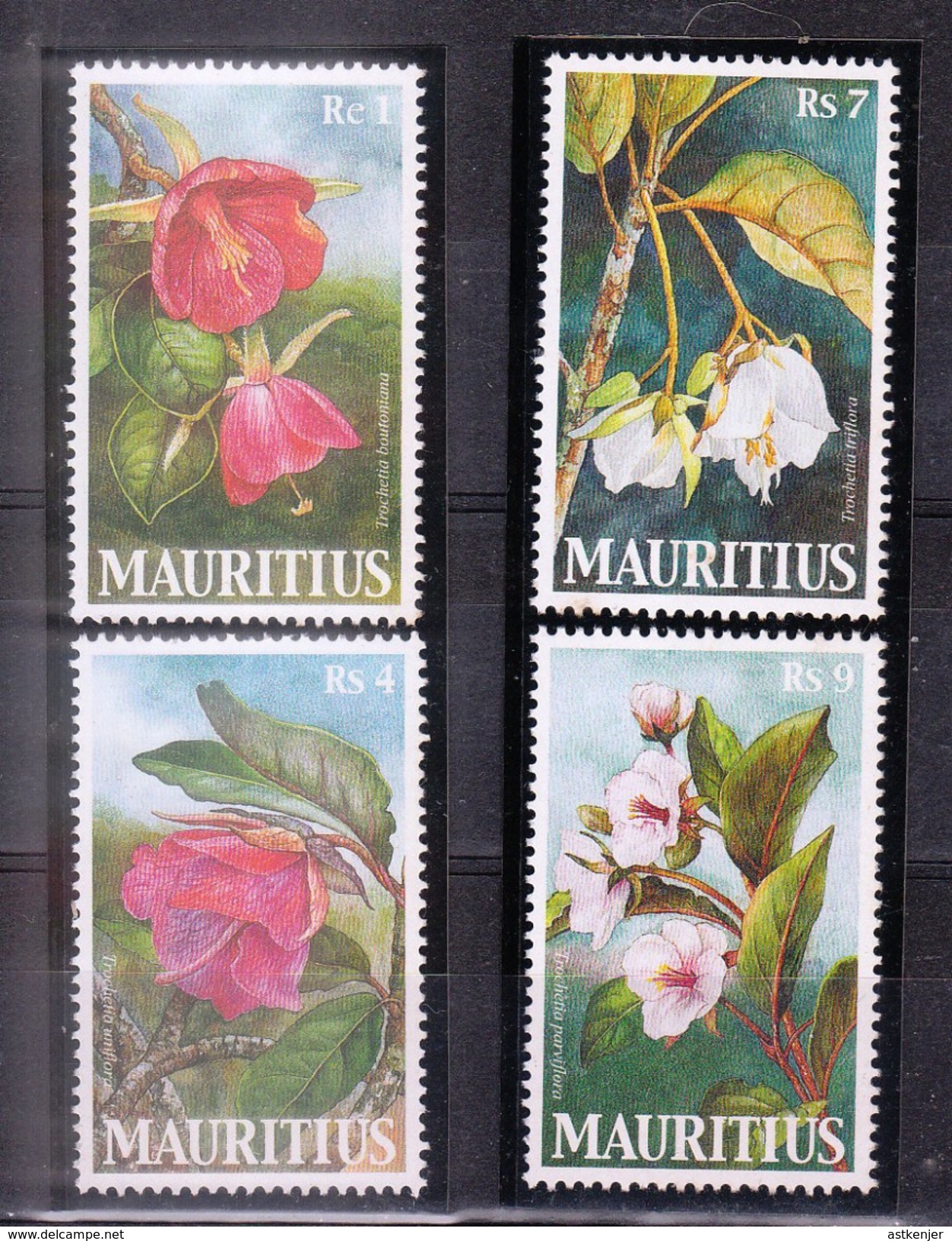 ILE MAURICE (MAURITIUS) - Timbre Poste Année 2003 - N° 970 à 973 (4 Timbres) - Flowers - Maurice (1968-...)