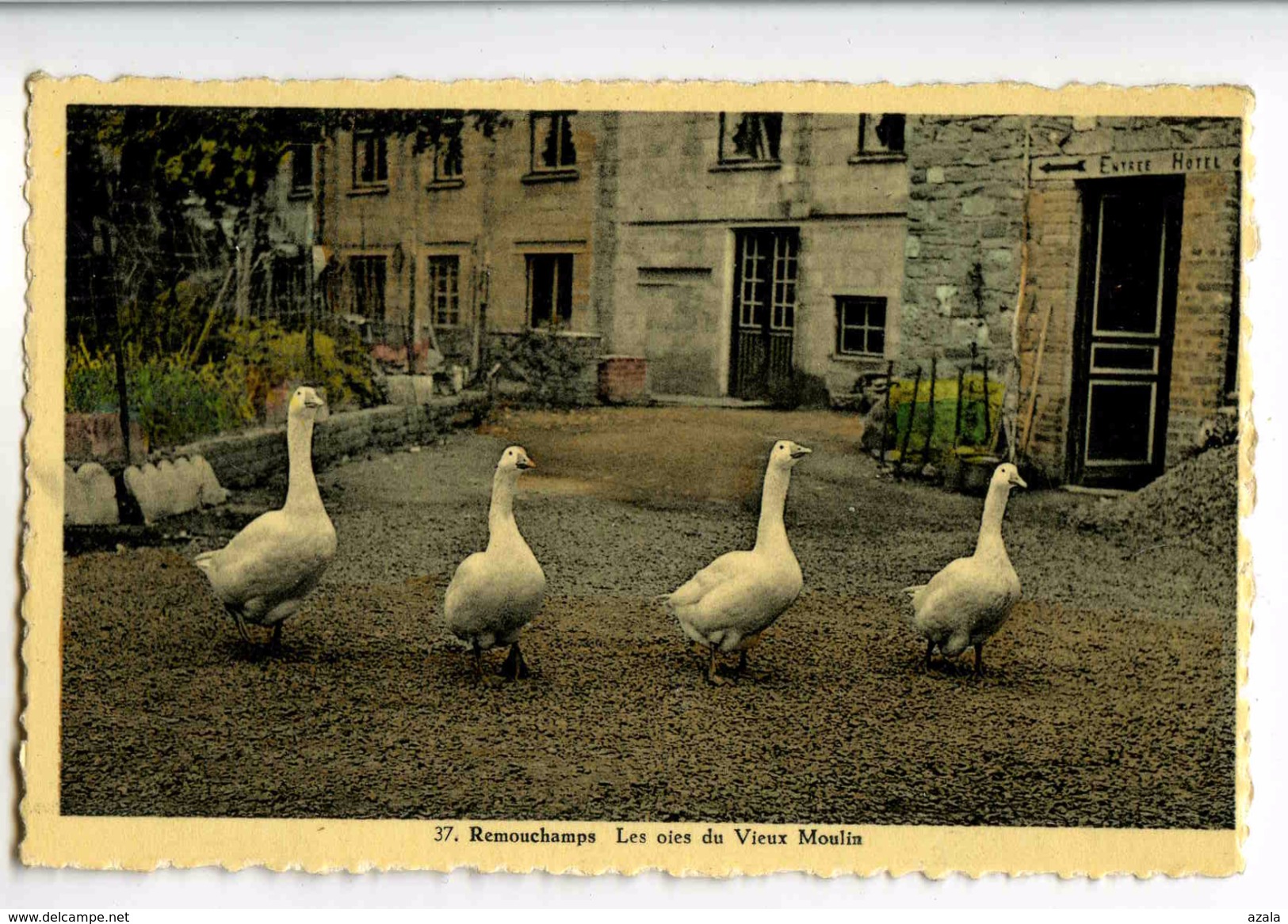 A 19917  -  Remouchamps   -   Les Oies Du Vieux Moulin - Aywaille