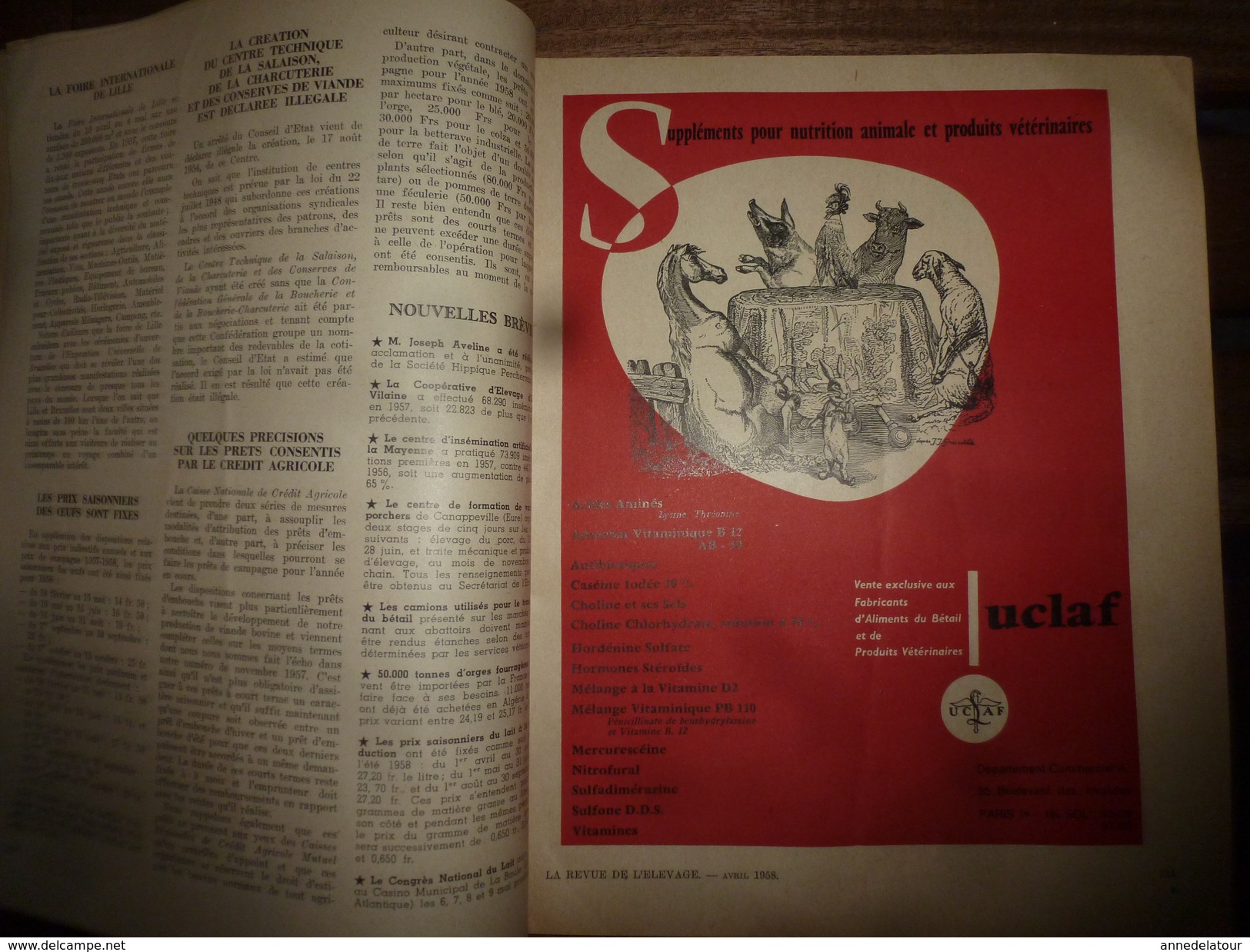 1958 LRDLE  :Production Fourragères Et Alimentation;Journée Du Mouton à Toulouse; Les Foins;  Le Lait;etc - Animales