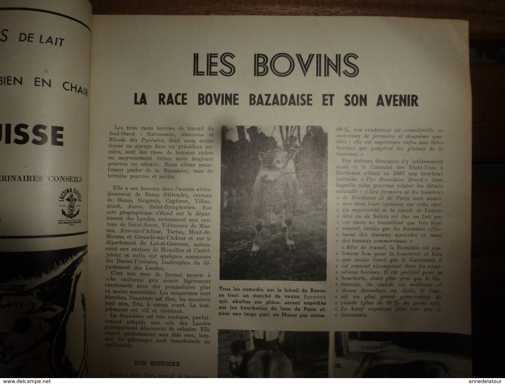 1958 LRDLE  :Production Fourragères Et Alimentation;Journée Du Mouton à Toulouse; Les Foins;  Le Lait;etc - Animals