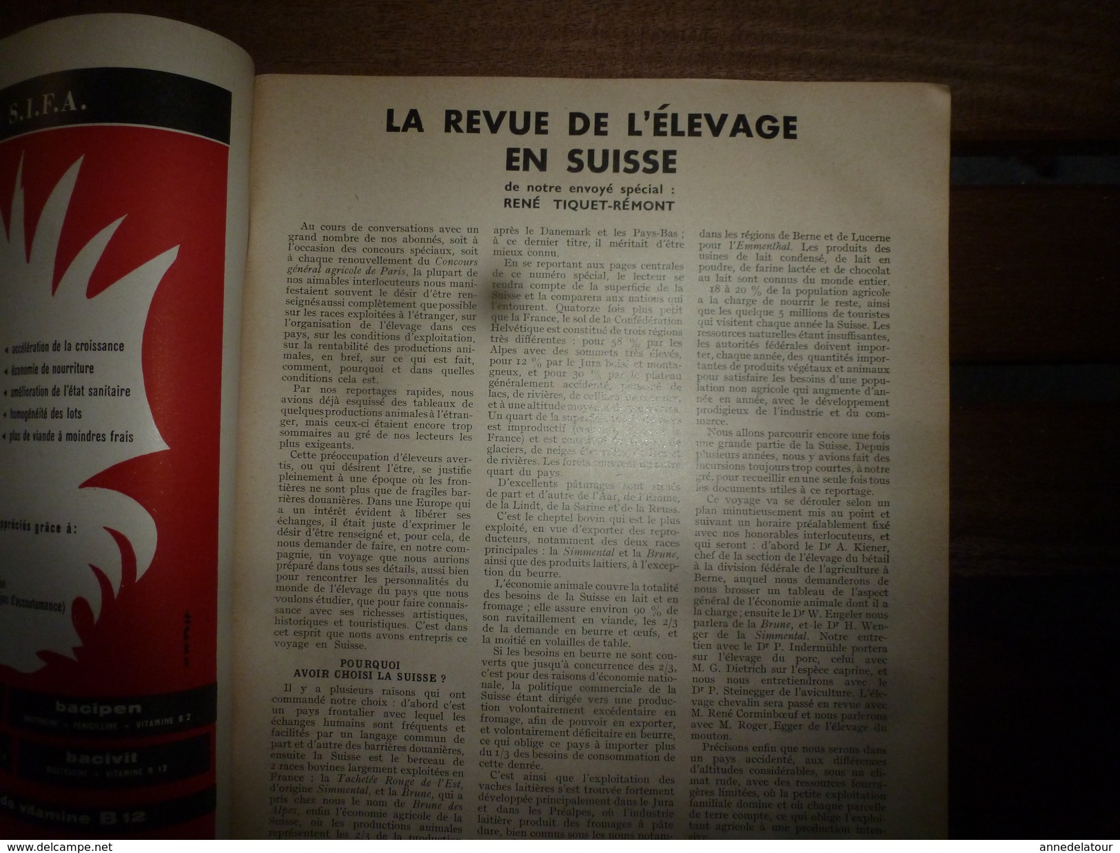 1956 LRDLE  :(La Revue De L'Elevage)  N° Spécial : L'élevage En SUISSE ;Berne; La Fosse Aux Ours; Le Mulet;etc - Animals