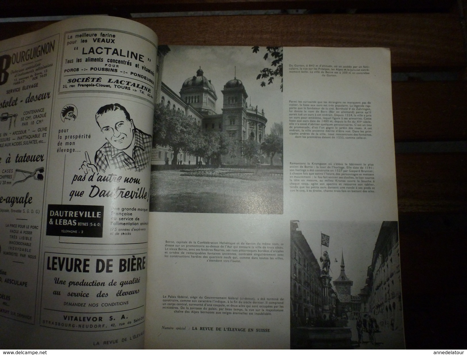 1956 LRDLE  :(La Revue De L'Elevage)  N° Spécial : L'élevage En SUISSE ;Berne; La Fosse Aux Ours; Le Mulet;etc - Animals