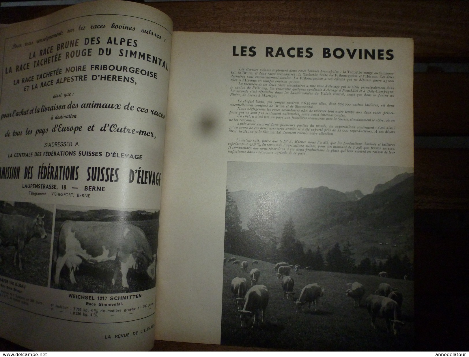 1956 LRDLE  :(La Revue De L'Elevage)  N° Spécial : L'élevage En SUISSE ;Berne; La Fosse Aux Ours; Le Mulet;etc - Animales