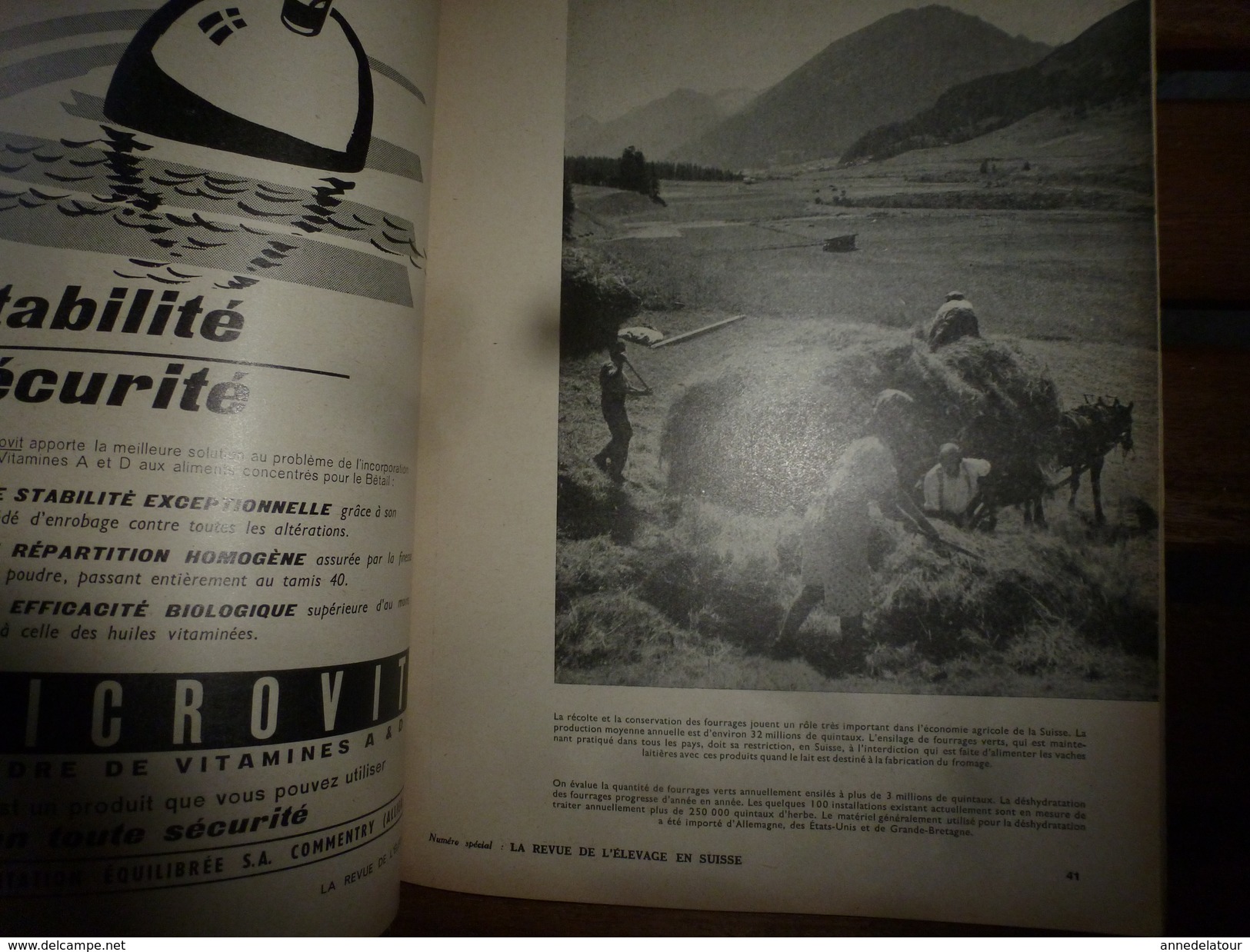 1956 LRDLE  :(La Revue De L'Elevage)  N° Spécial : L'élevage en SUISSE ;Berne; La Fosse aux Ours; Le mulet;etc