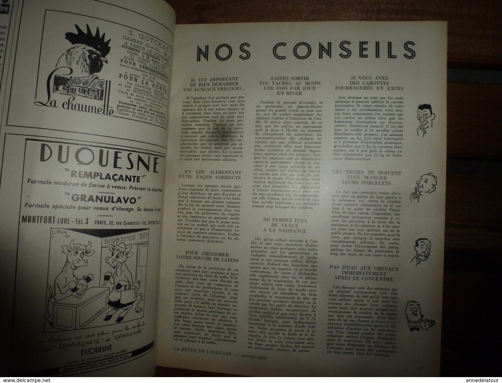 1958 LRDLE  : Le Mouton; Le Porc ; Basse-cour ; Nos Conseils; Etc - Animaux
