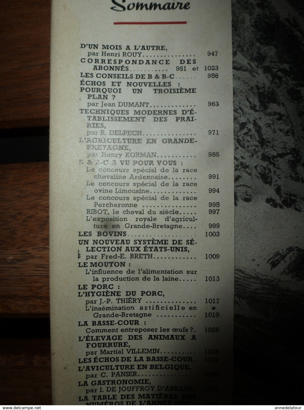1956 LRDLE  : Les Prairies; Angleterre;Les Oeufs; Concours Races;Système USA; Animaux à Fourrure;Aviculture En Belgique - Animaux