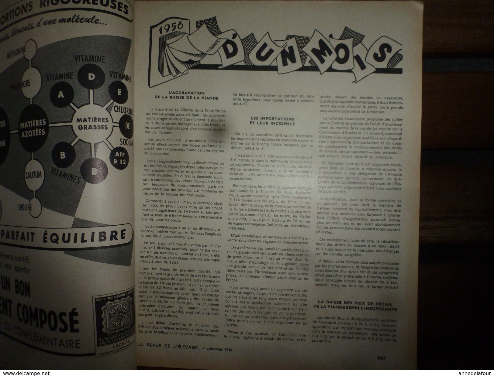 1956 LRDLE  : Les Prairies; Angleterre;Les Oeufs; Concours Races;Système USA; Animaux à Fourrure;Aviculture En Belgique - Animales