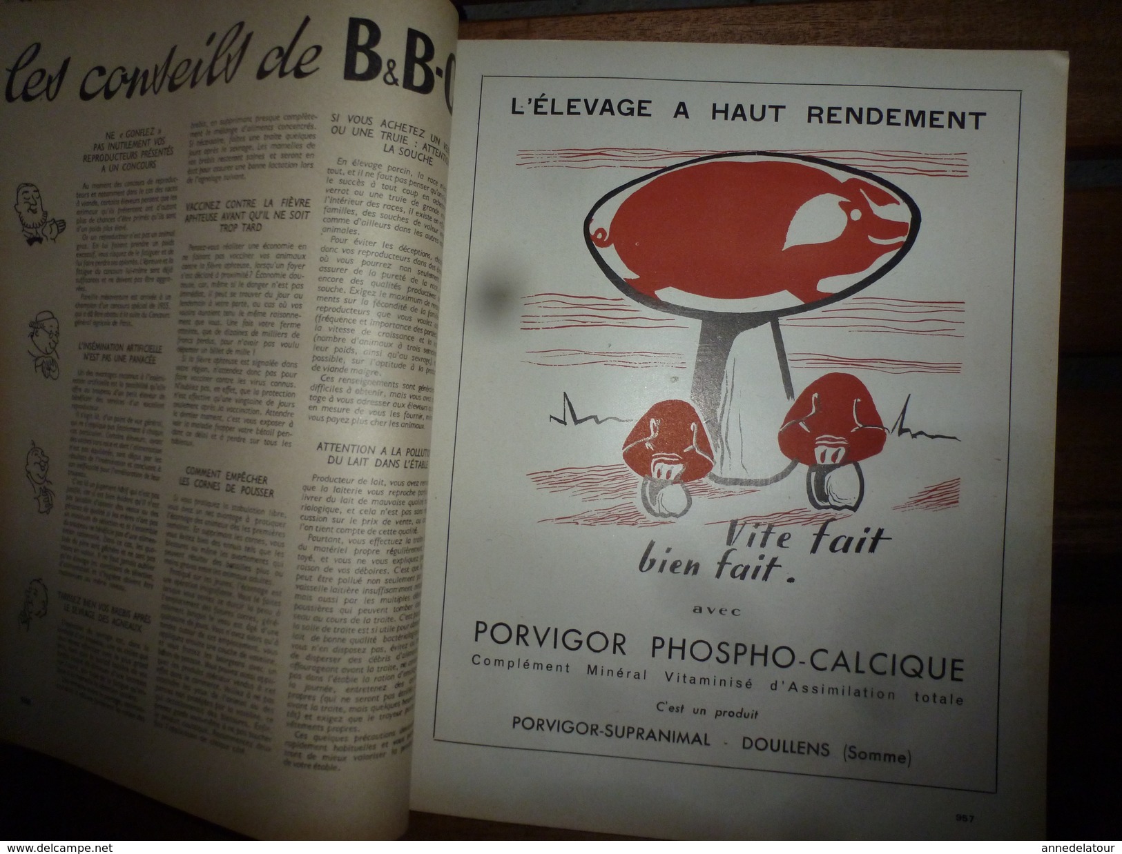 1956 LRDLE  : Les Prairies; Angleterre;Les Oeufs; Concours Races;Système USA; Animaux à Fourrure;Aviculture En Belgique - Animales