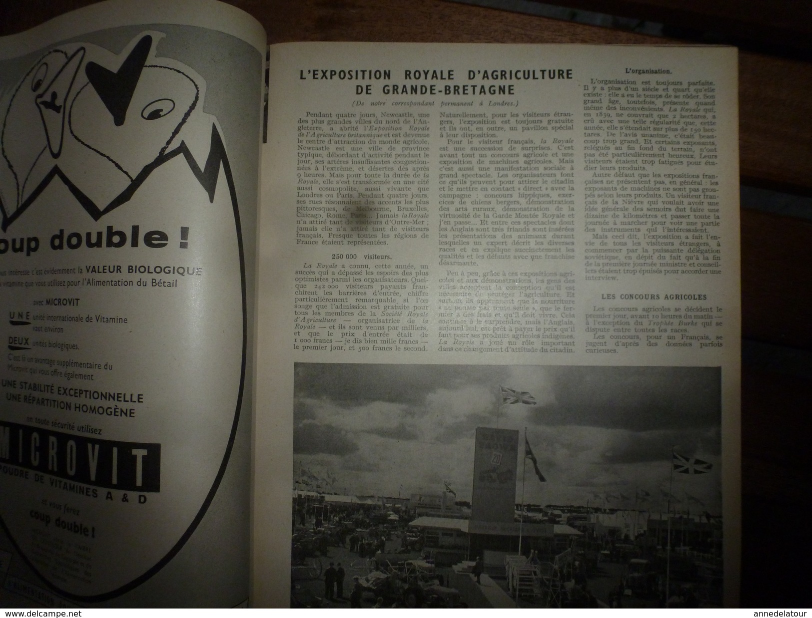 1956 LRDLE  : Les Prairies; Angleterre;Les Oeufs; Concours Races;Système USA; Animaux à Fourrure;Aviculture En Belgique - Animaux