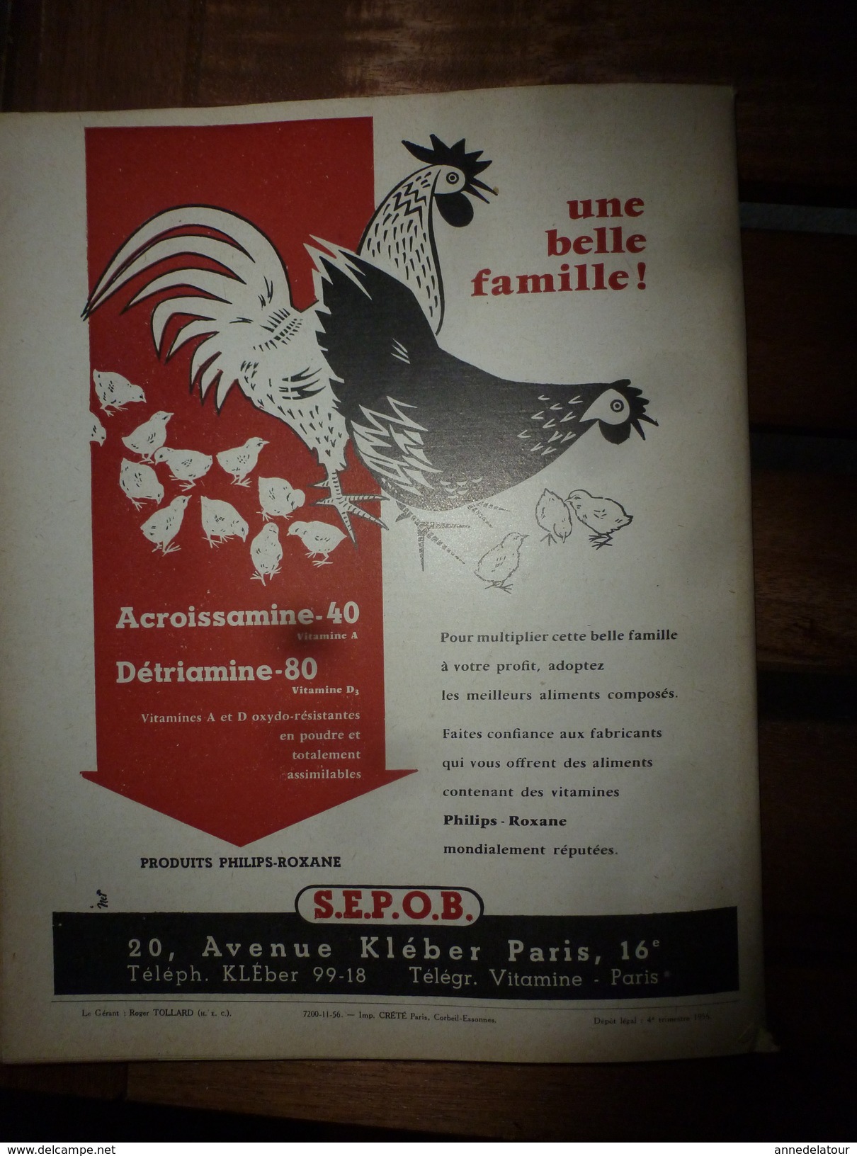 1956 LRDLE  : Les prairies; Angleterre;Les oeufs; Concours races;Système USA; Animaux à fourrure;Aviculture en Belgique