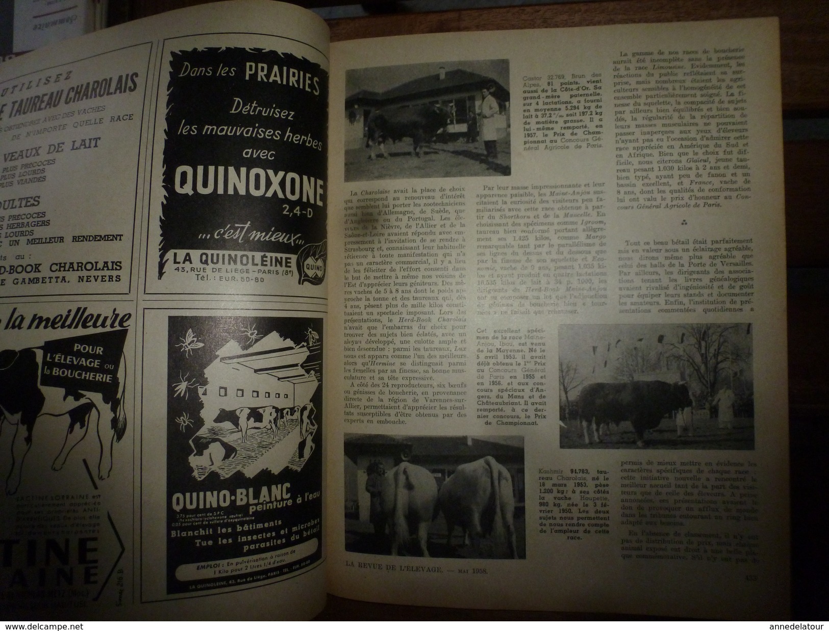 1958 LRDLE  : Salon De L'agriculture à STRASBOURG; Assolement Fourrager ; Les Conseils ; Etc - Animals
