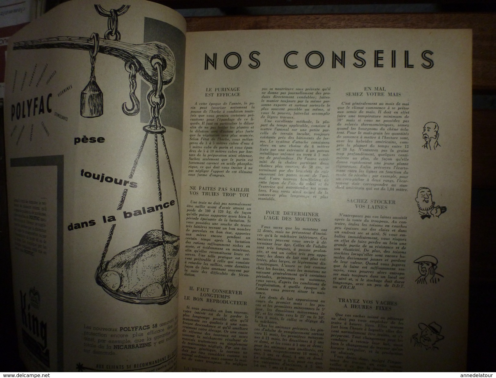 1958 LRDLE  : Salon de l'agriculture à STRASBOURG; Assolement fourrager ; Les conseils ; etc