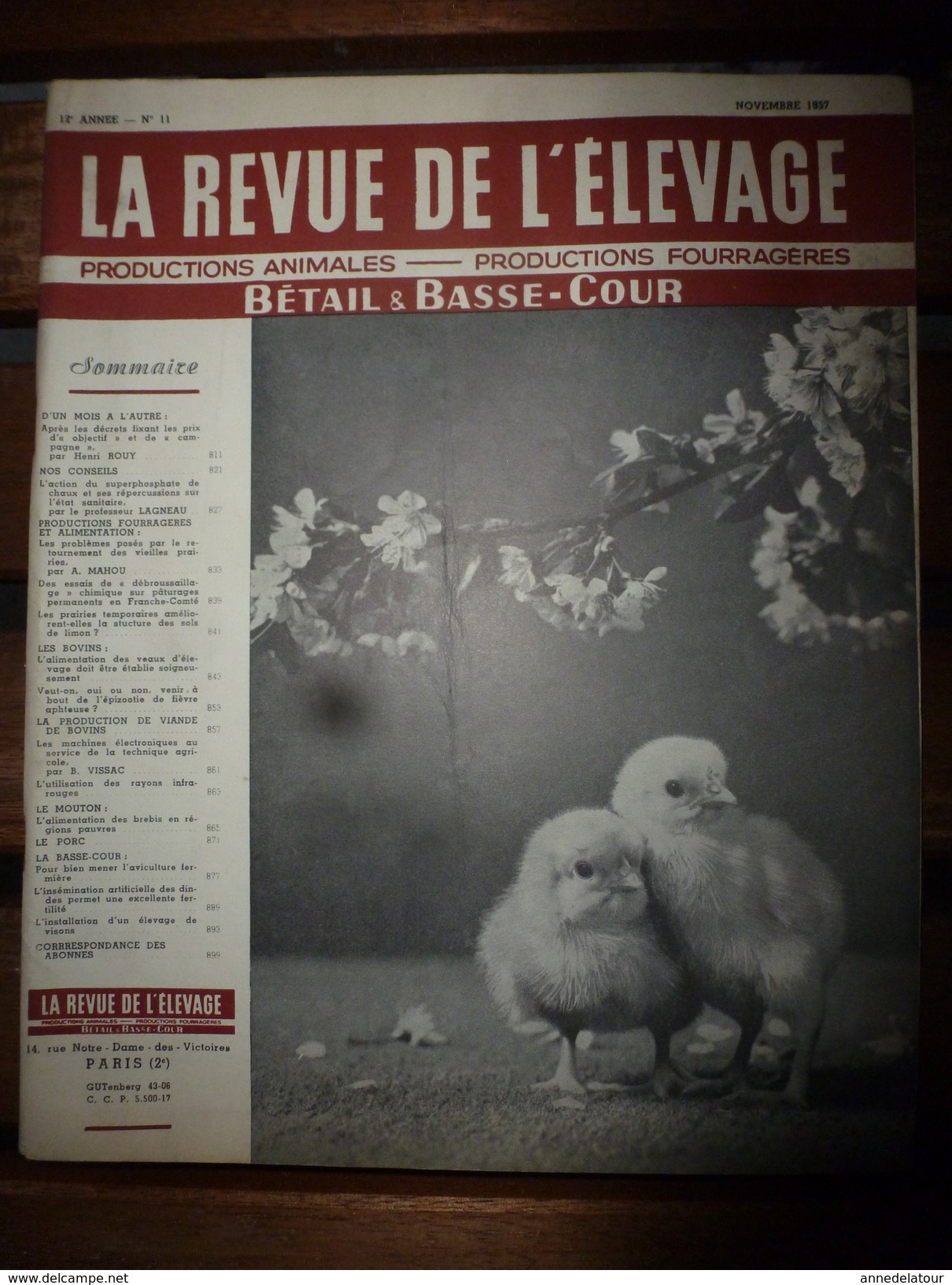 1957 LRDLE  : Prairies; Débroussaillage; Bovins; Les Brebis En Régions Pauvres;Les Dindons; Etc - Animaux
