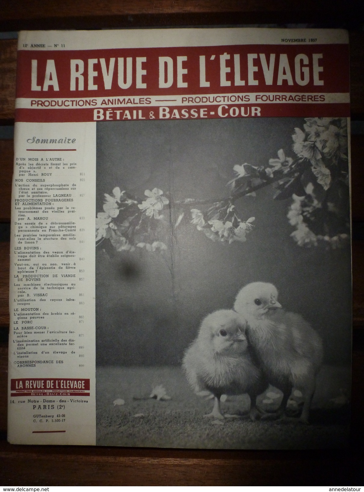 1957 LRDLE  : Prairies; Débroussaillage; Bovins; Les Brebis En Régions Pauvres;Les Dindons; Etc - Tierwelt