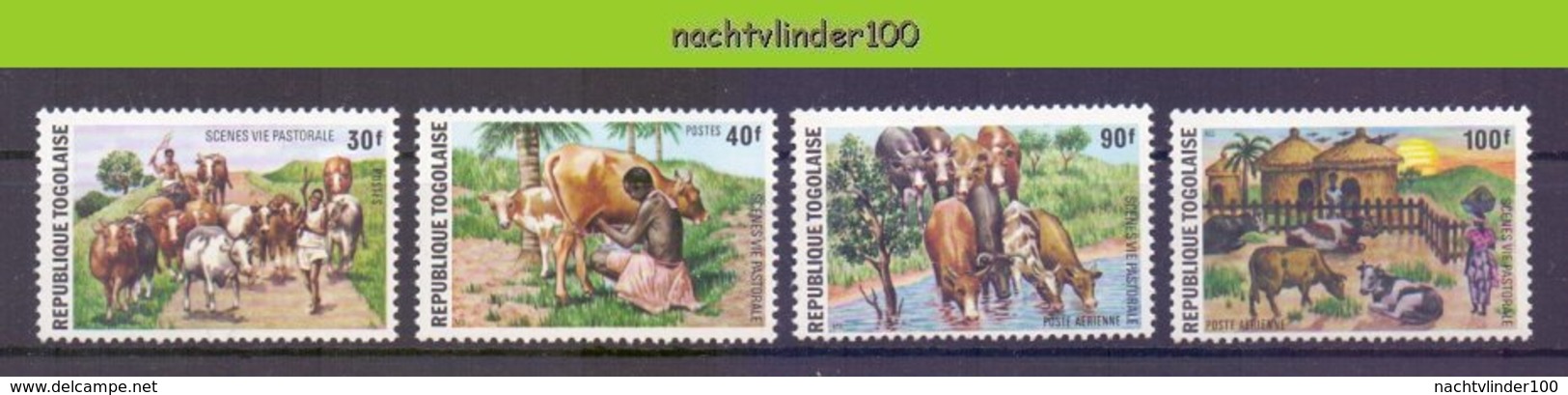 Mrg049 FAUNA ZOOGDIEREN BOERDERIJDIEREN KOEIEN HERDERS COWS KUHE MAMMALS FARM ANIMALS TOGO 1974 PF/MNH - Vaches