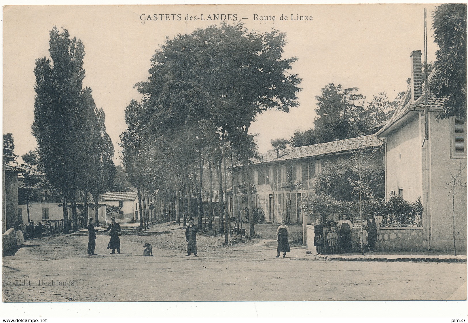 CASTETS DES LANDES - Route De Linxe - Castets