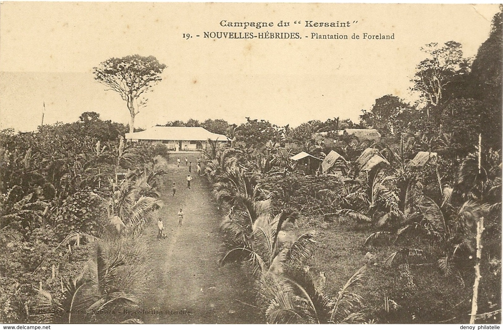 Wanuatu - Nouvelles Hebrides - Campagne Du Kersaint - Plantation De Foreland - N° 19 - Vanuatu