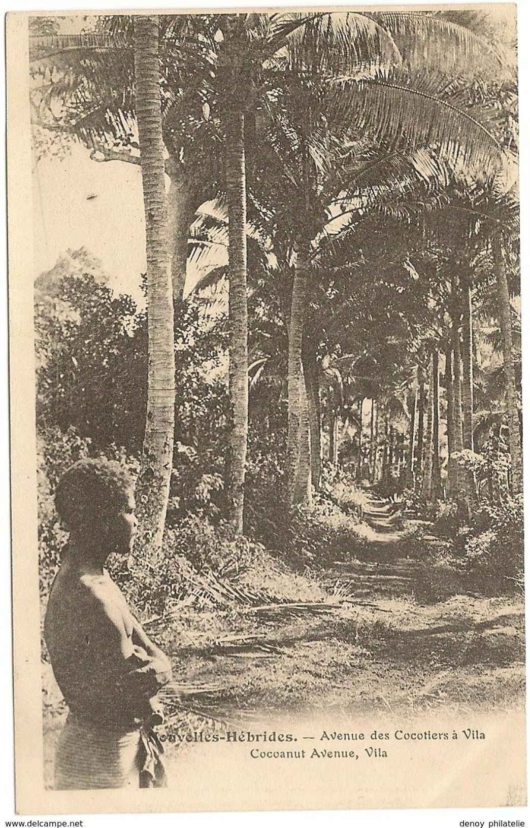 Wanuatu - Nouvelles Hebrides - Avenue Descocotiers A Vila - Coconut Avenue , Vila - Vanuatu