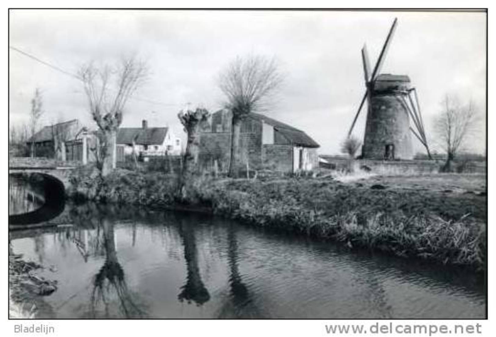 MEETKERKE - Zuienkerke (W.Vl.) - Molen/moulin - Poldermolen Met Scheprad De Grote Molen Voor De Restauratie. - Zuienkerke