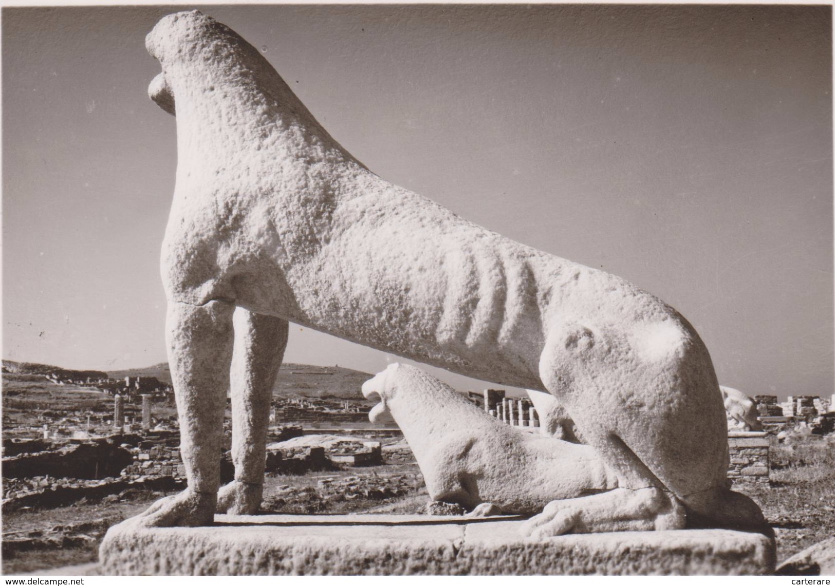 GRECE,GREECE,GRIECHENLAND ,GRECIA,ATHENS,ATHENES,ATHEN,MUSEUM,CARTE PHOTO,ANIMAL,DELOS,ROOFE,LION - Greece